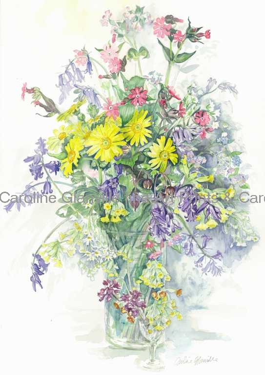 Wild spring flowers, painting by Caroline Glanville